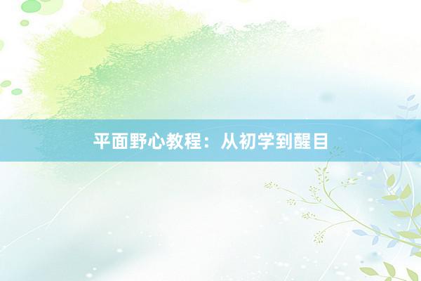 平面野心教程：从初学到醒目